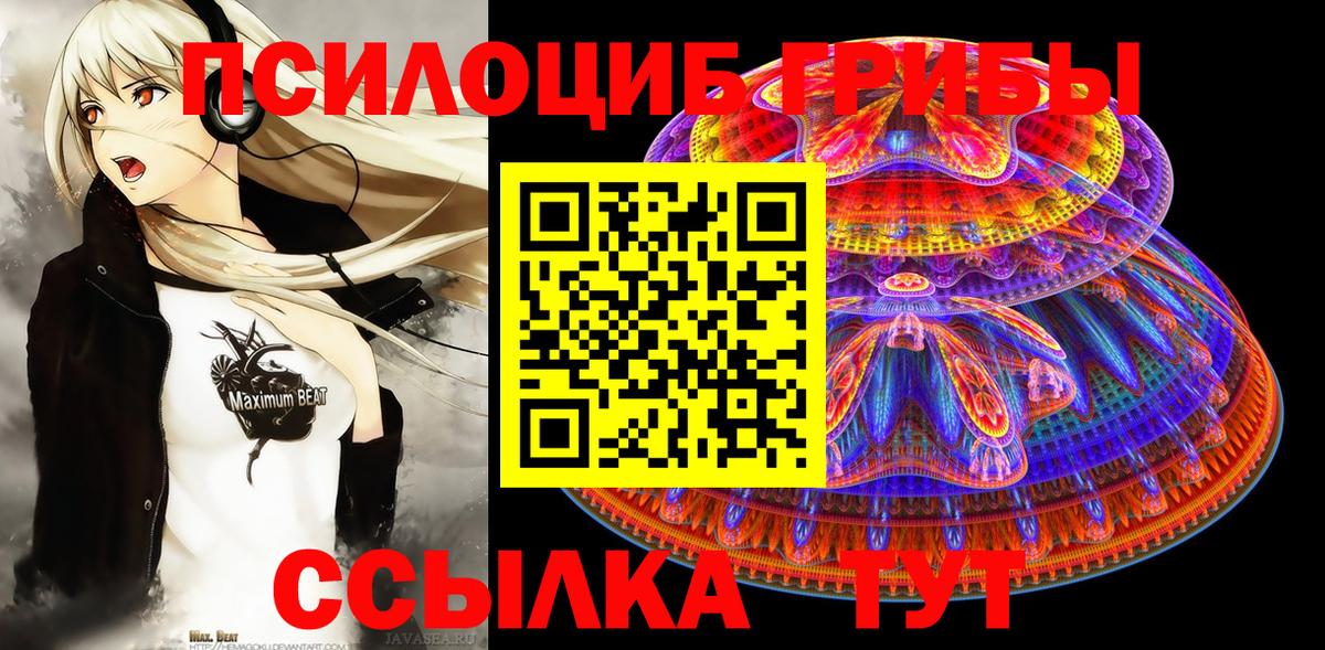 Псилоцибиновые грибы MAGIC MUSHROOMS  Вход с VPN  Кандалакша 